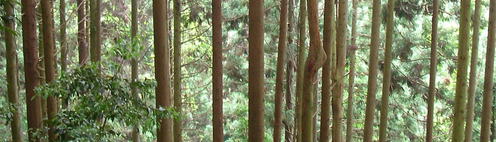 journey, not destination