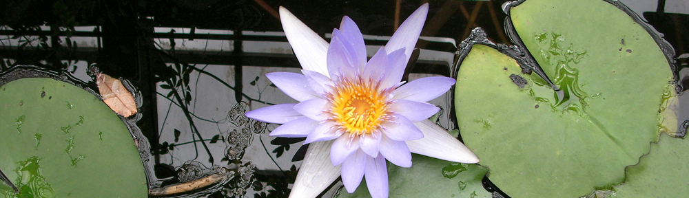 journey, not destination