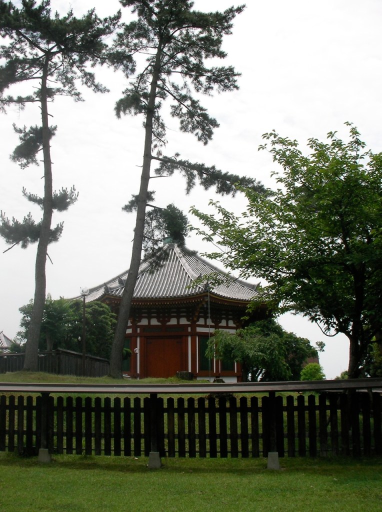 At Kofukuji Temple Grounds