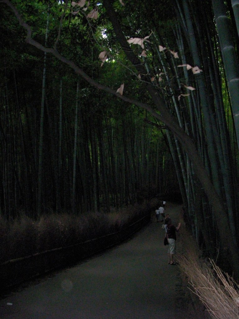 Bamboo Forest Path