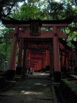 Beginning of the Torii Path