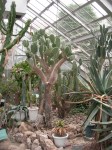 Botanical Gardens - Cactus Garden