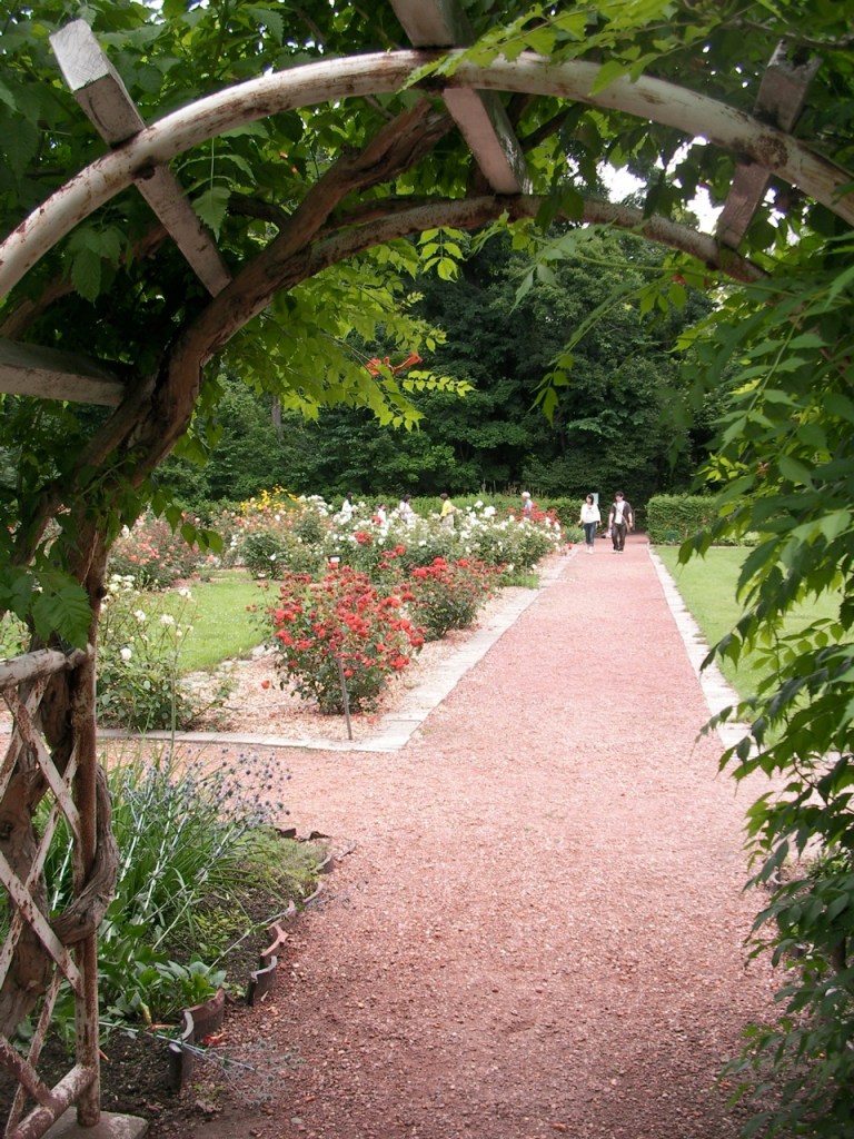 Botanical Gardens - Rose Garden