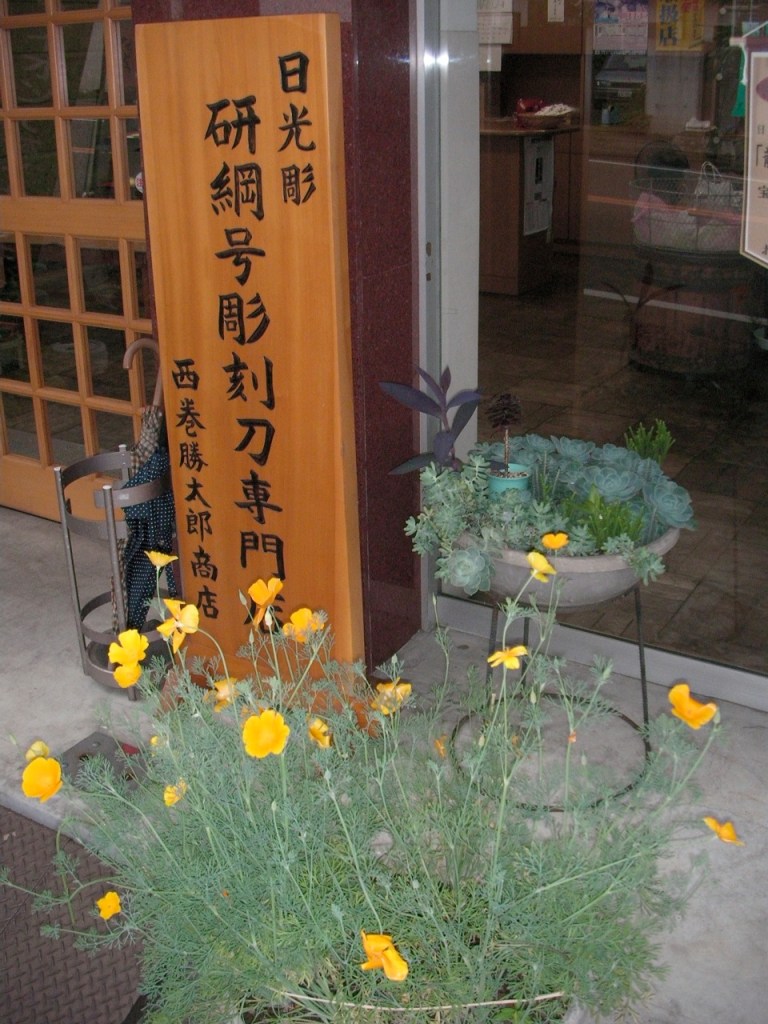California Poppies in Japan!
