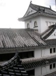 Castle roofs
