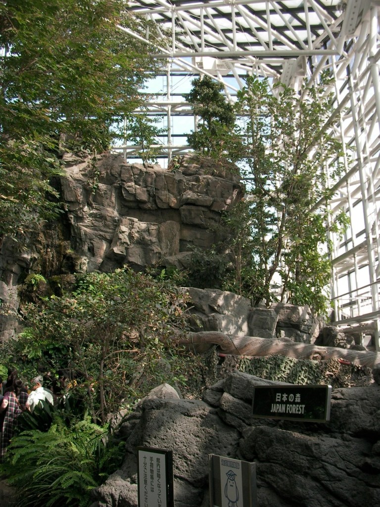 Inside the top floor of the aquarium