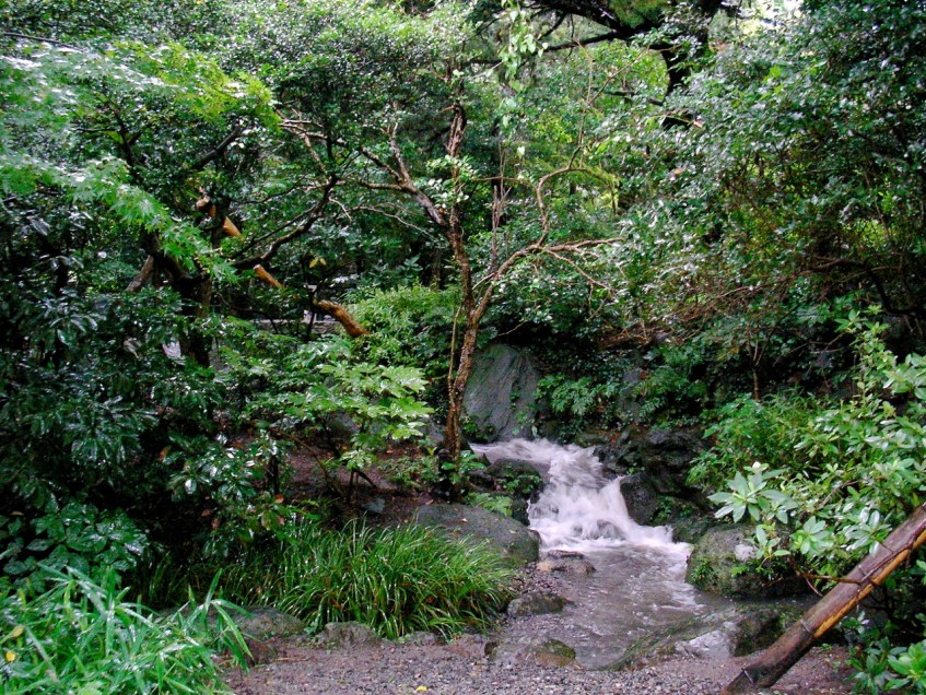 Kamakura - Daibutsu garden waterfall