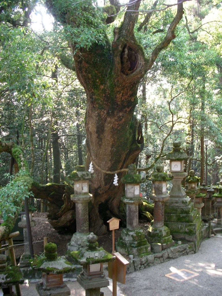 Kasuga Taisha Shrine