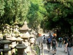 Kasuga Taisha Shrine lanterns