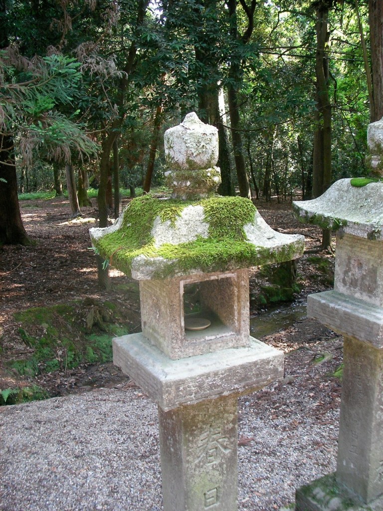 Kasuga Taisha Shrine Woods