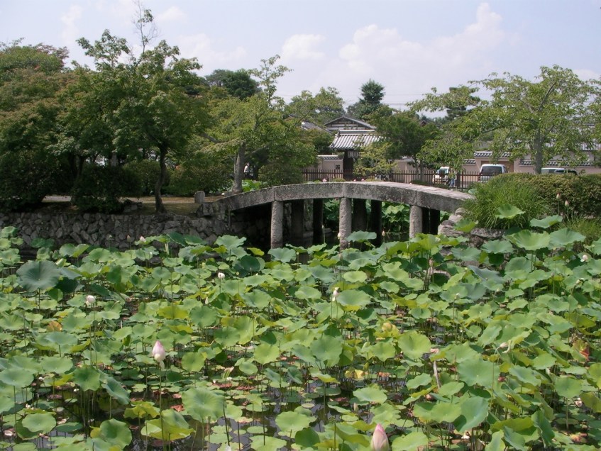 Lily ponds at Tenryu-ji Temple, Arashiyama