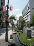 Matsumoto Street Landscaping