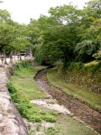 Miyajima Stream