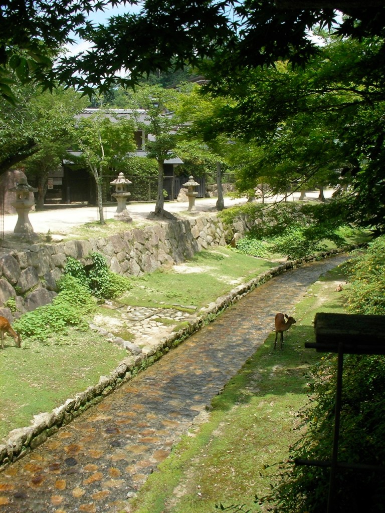 Miyajima Stroll