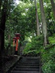More Steps, Kurama-dera