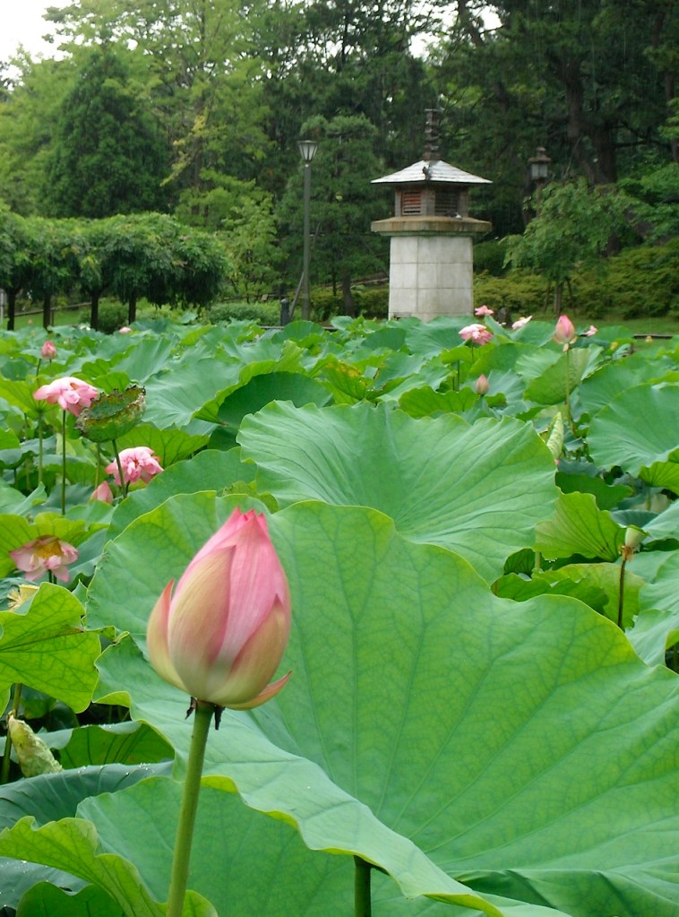 Niigata - Hakusan Shrine Park