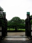 Nijo-jo Castle - Garden Gate