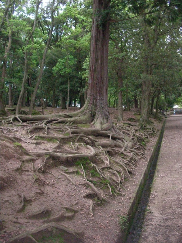 On the way to the Shrines