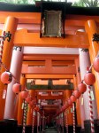 One of the Exits from the Torii Walk