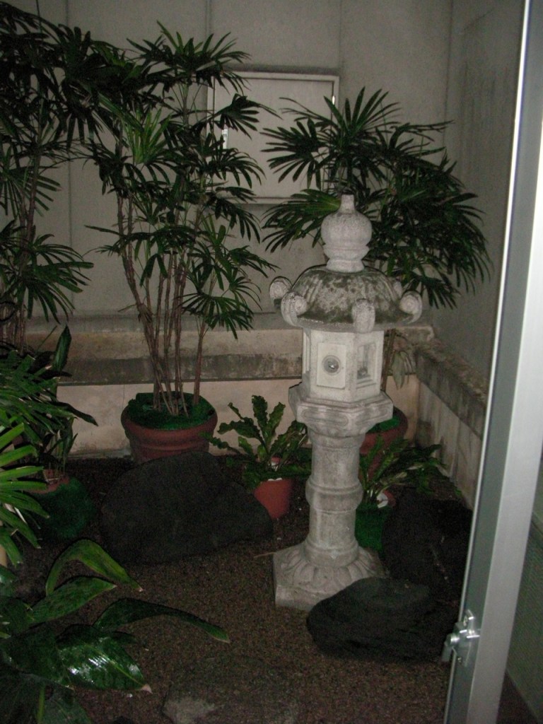 Our Room's Garden