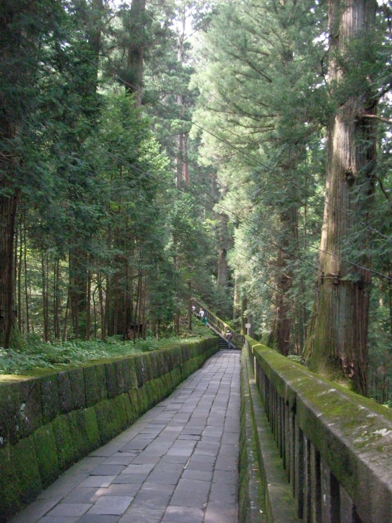 Path through the Sacred Forest