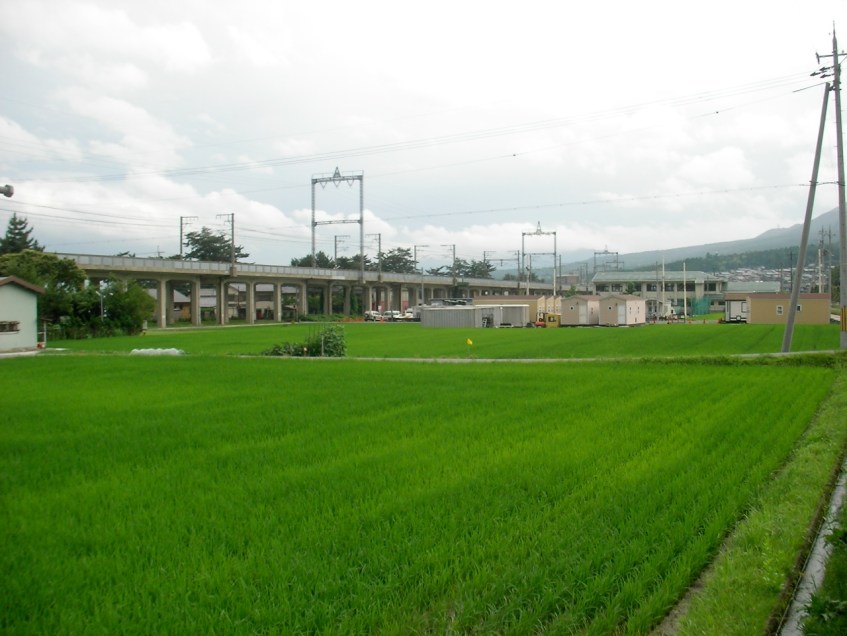 Rice Fields and Railroad Tracks
