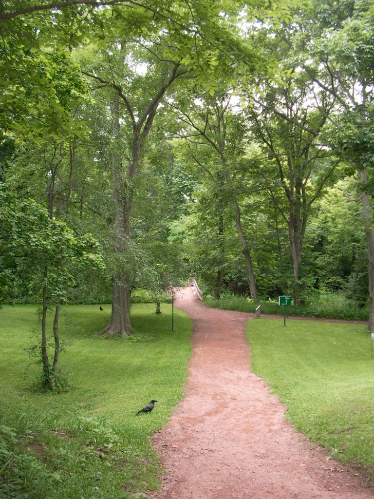 Sapporo Botanical Gardens