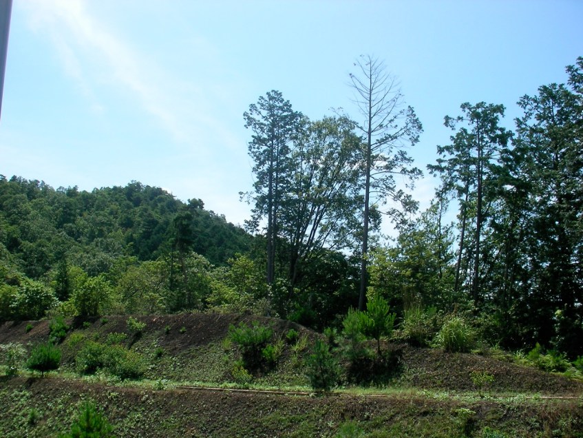 School on a sunny day...