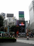 Shibuya Skyline
