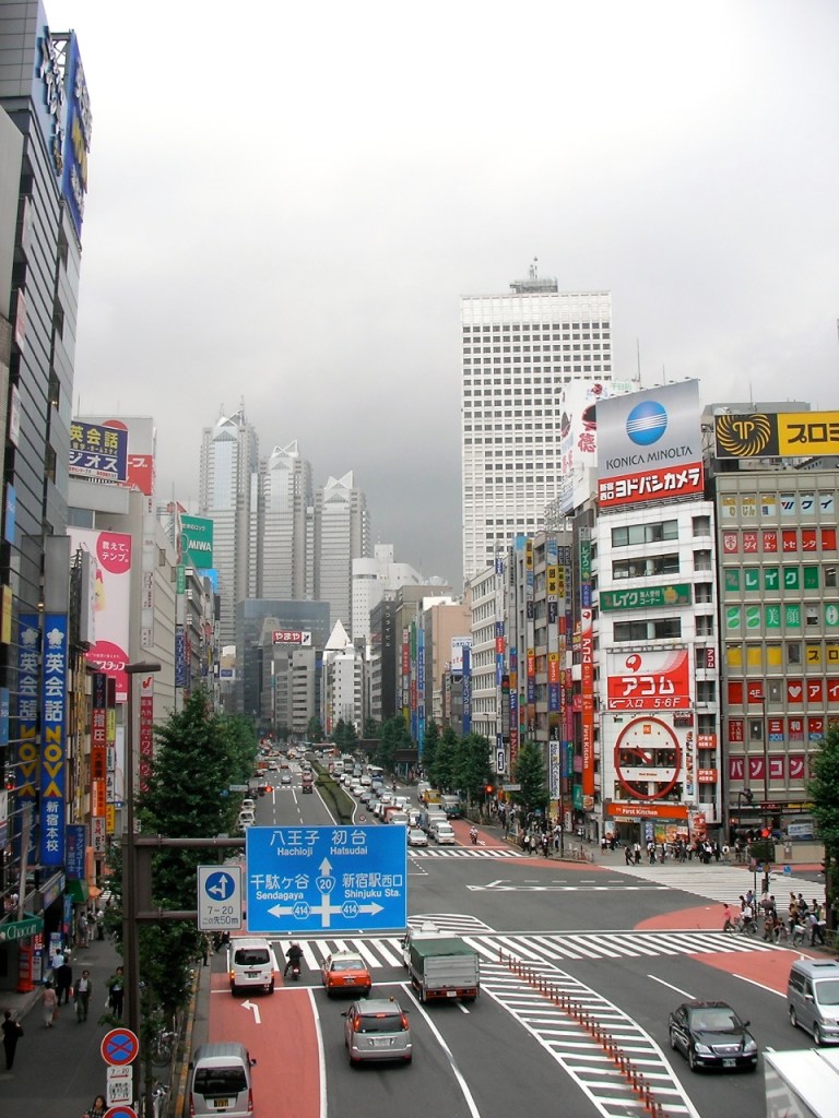 Shinjuku Skyline