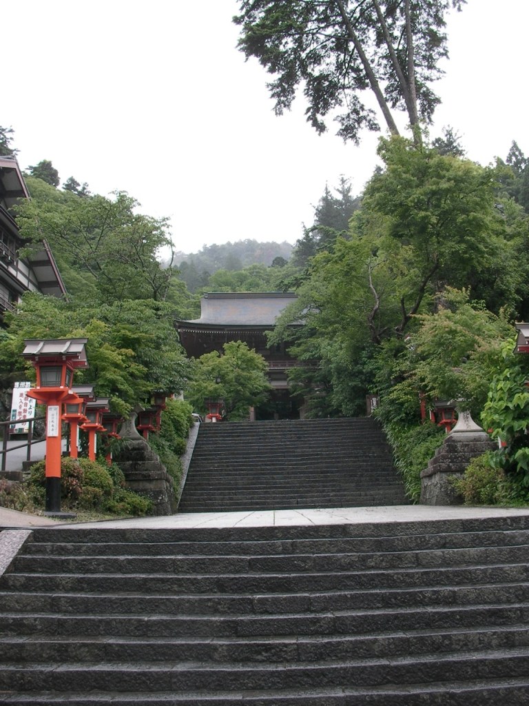 Some of the Endless Steps