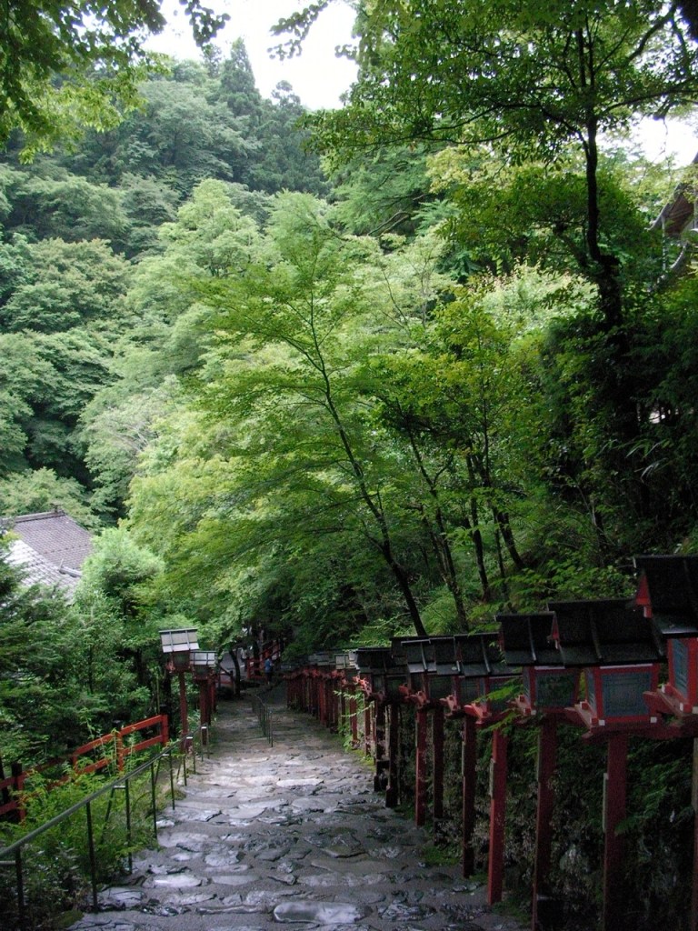 Steps Down from Kibune-jinja