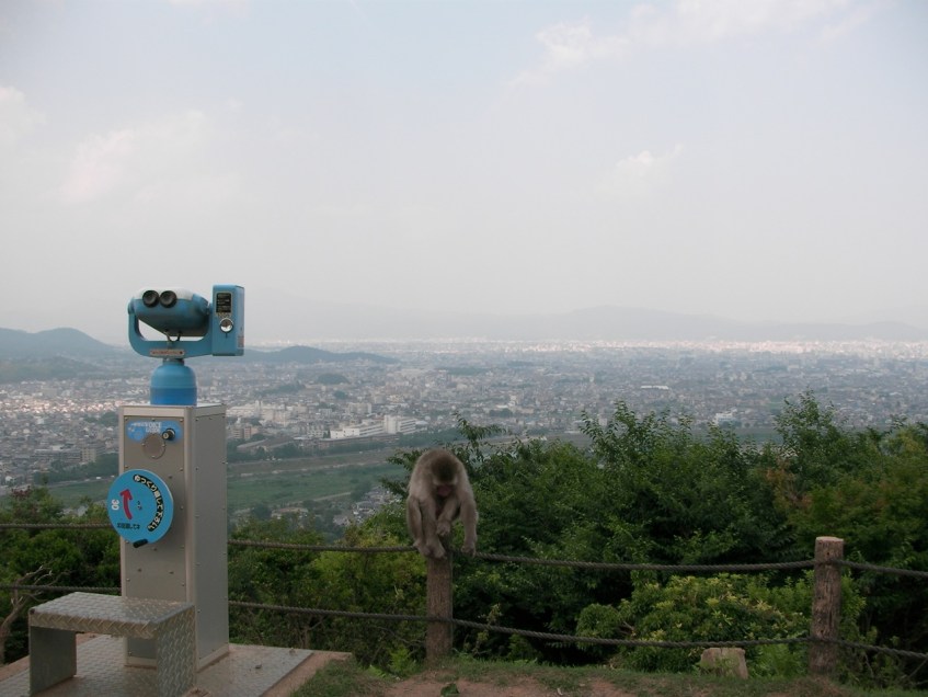 They have a pretty good view, huh?