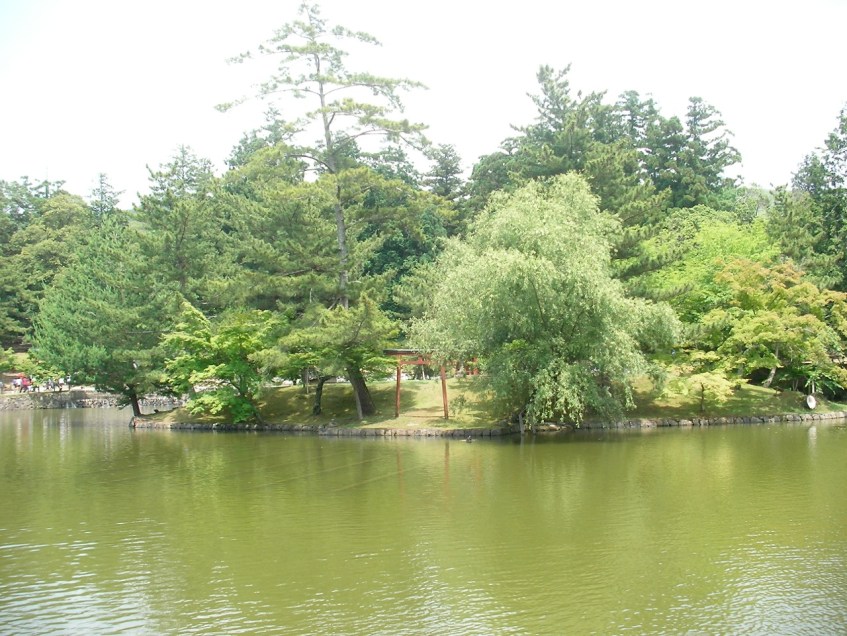 Todaiji Pond