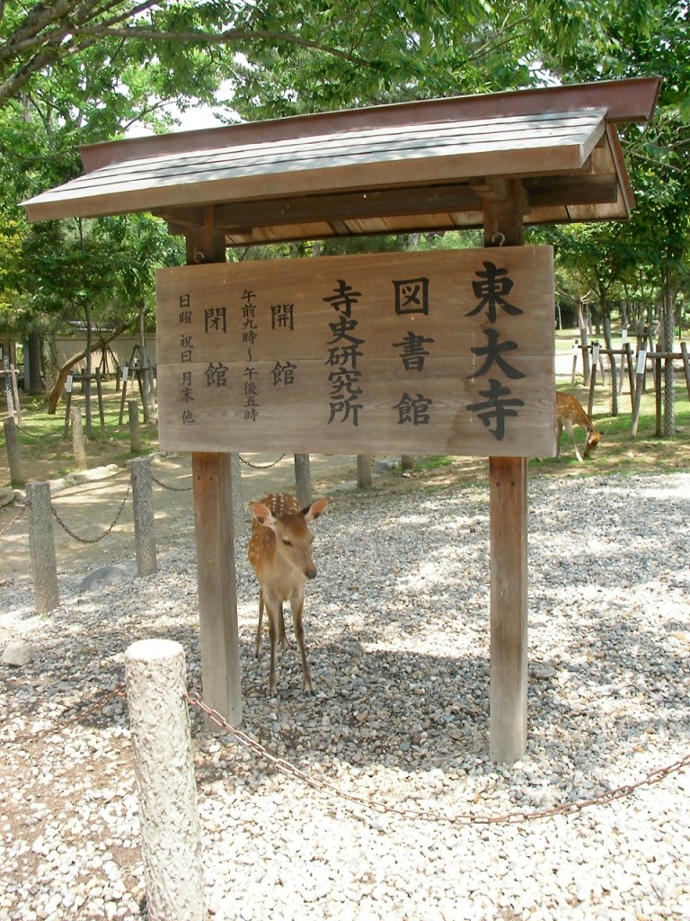 Todaiji Temple sign - and deer