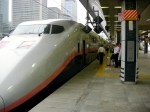 Tokyo Eki - E1 MAX Bi-level Shinkansen