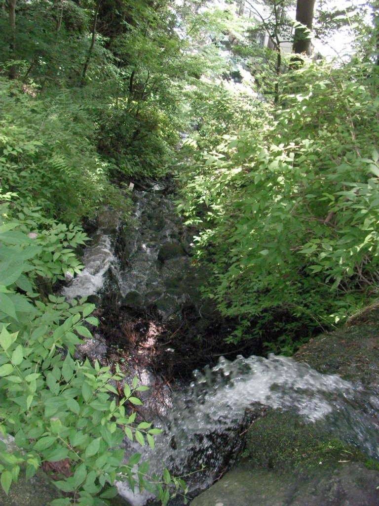 Top of the Waterfall