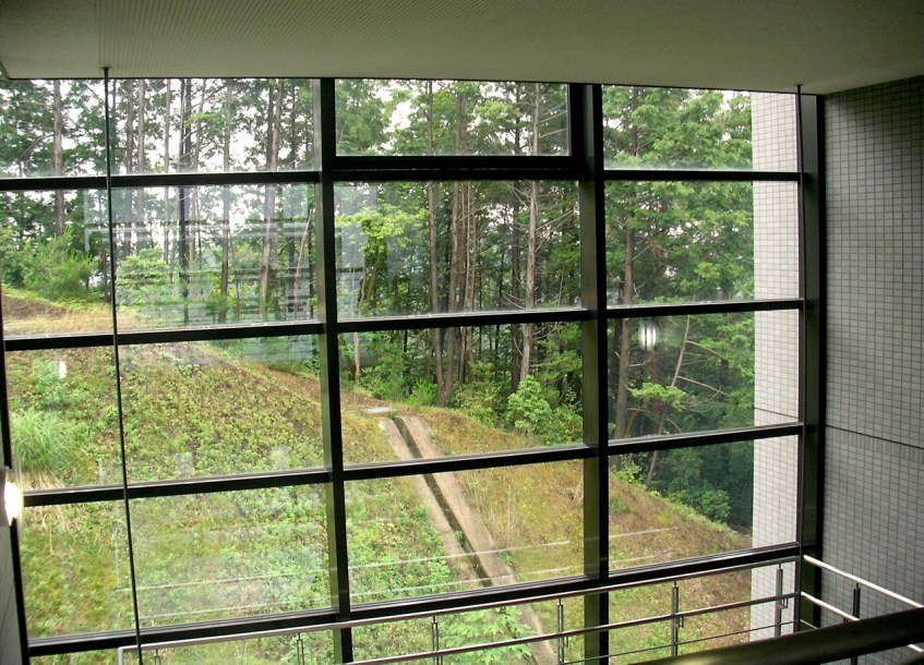 Window in the stairwell